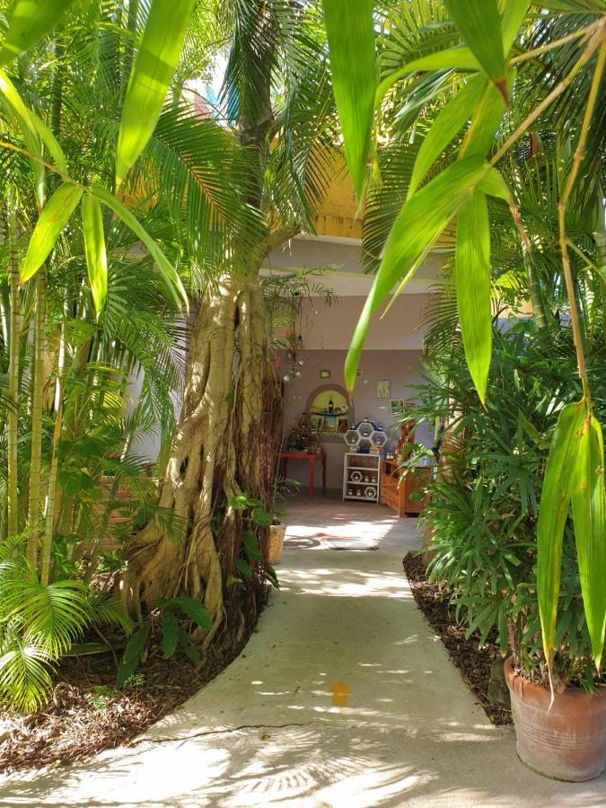 Casa Don Diego Tulum Exterior photo