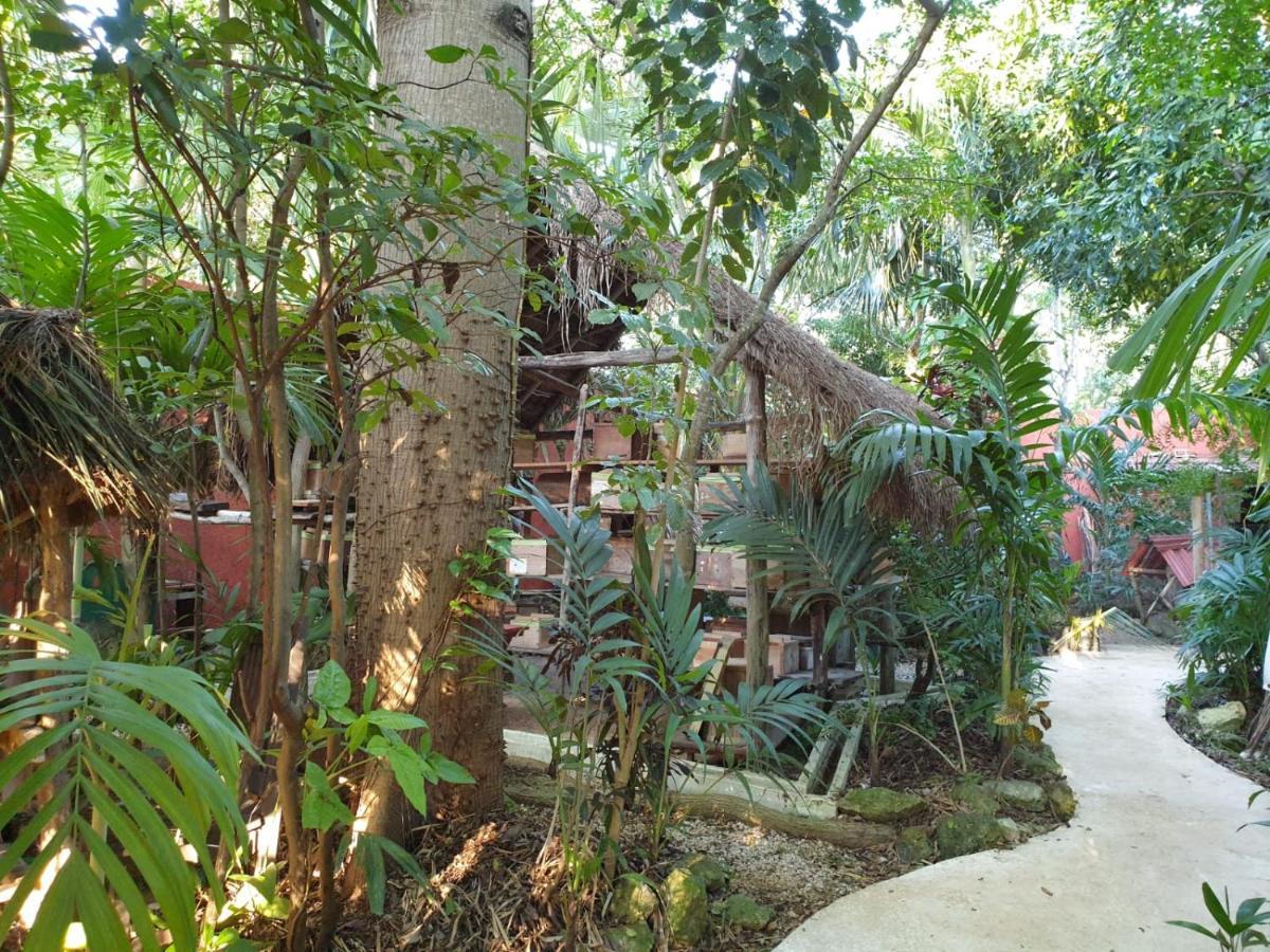 Casa Don Diego Tulum Exterior photo