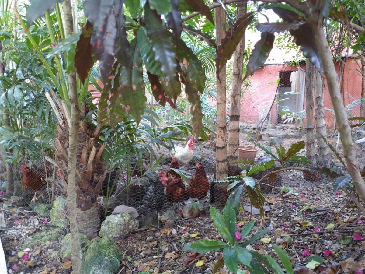 Casa Don Diego Tulum Exterior photo