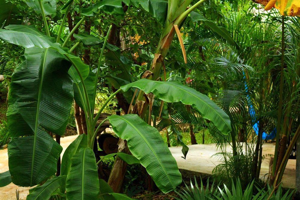 Casa Don Diego Tulum Exterior photo